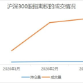 股指期权,金融市场的新兴工具与策略解析