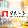 华安证券,引领中国证券市场，践行金融“五篇大文章”