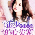 闪婚新妻黎少心尖宠,黎少的心尖宠，甜蜜蜜爱恋