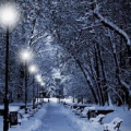 有关冬天的诗句,古人的寒雪情怀